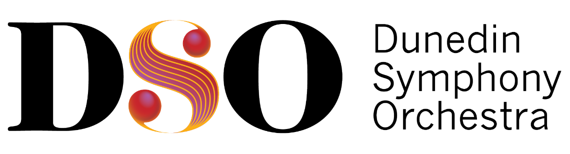 Dso logo wide 1140x308px